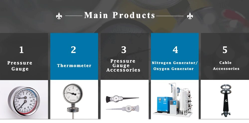 Supply Diaphragm Seal Pressure Gauge Movement From China