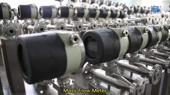 Macsensor Professioneller Hersteller hochwertiger tragbarer Propangas-Coriolis-Massendurchflussmesser für Flüssigkeiten