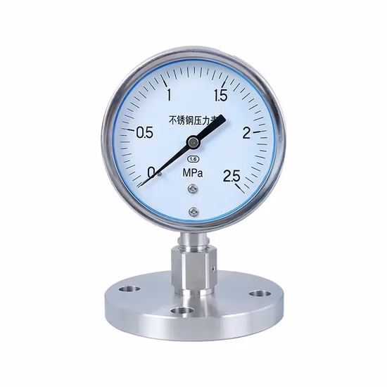 Robustes Manometer aus Edelstahl mit hoher Genauigkeit, Erdöl-Manometer