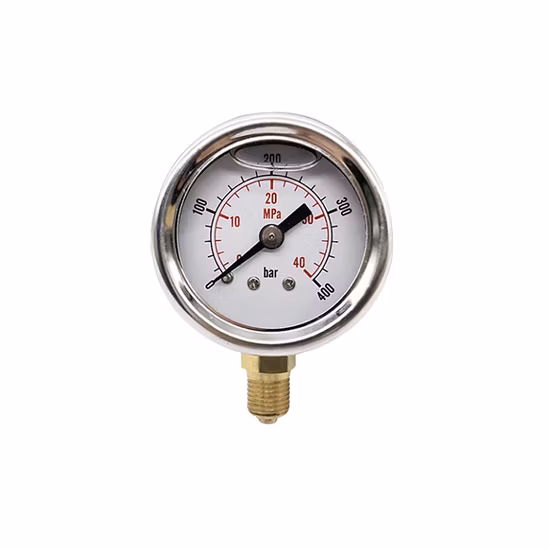 Mit Flüssigkeit gefülltes Messingwerk aus Edelstahl mit OEM-Logo, Manometer